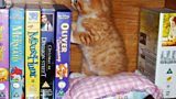 Amber an cat aig Marnie