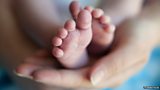 Midwife Strikes
