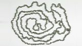Indigenous Australia