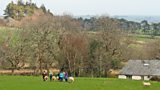 Grass Fires, Sculpting with Bluestone and Sheep Walking