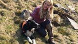 Rescue dogs
