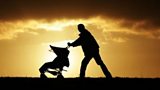 Child Benefit