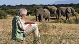The David Shepherd Wildlife Foundation