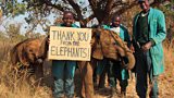 From grassroots to world stage