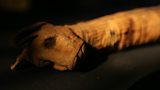 Egypt's animal mummy 'scandal' revealed