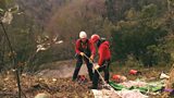 Rare plant rescue