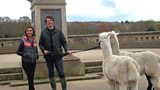 Saltaire