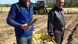 Asparagus