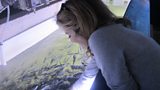 The French Lieutenant's Woman - Antonia feeding the fish in the Lyme Regis aquarium