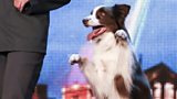 BGT