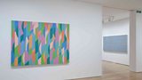 Bridget Riley - The Curve Paintings