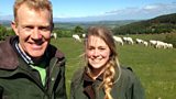 Chillingham cattle