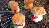 Jenny Bristow's ѿýmade Vanilla Scones