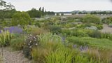 Gravel garden visited