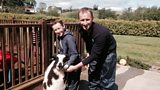 Omagh's Young Shepherd