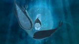 Song of the Sea