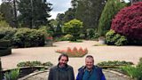 Shamrock Garden