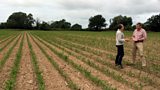 Soil