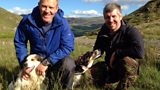 Snowdonia shepherd