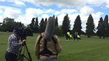 Rural Crime Survey Results