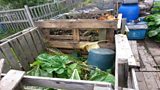Kitchen Garden Plot Blog - The diary of a 鈥榞row your own鈥� enthusiast.