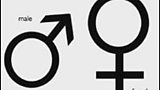A sexual freedom festival goes ahead in Warrenpoint - despite objections.