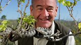 Nigel Marven