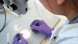 Corneal Transplants - A Sight-Saving Research Success