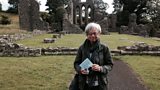'The Travellers Guide to Love'