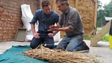 The wheat from the chaff