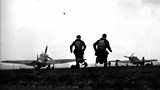 The Few