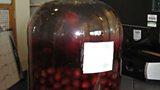 Chris Skinner's sloe gin recipe