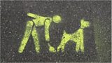 Dog poo