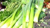 Leek growing tradition 'under threat'