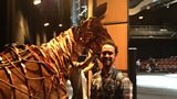 War Horse Backstage