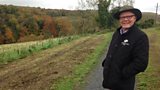 Brackfield Wood