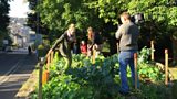 Community vegetables