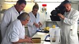 Butter making