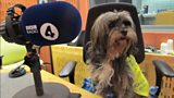 Buddy, Marion Janner's support dog, takes to the air waves