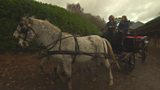 Horse Trailer Cash Row