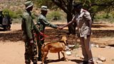 Protecting rhinos and communities