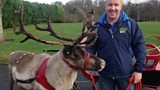 Prancer the Reindeer