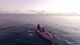The Coxless Crew