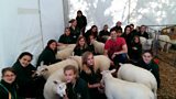 Brockhill Farm School