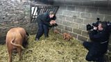 Farming all year round