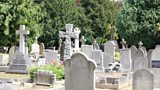 GRAVES