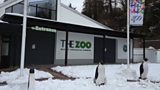 BELFAST ZOO