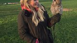Birds of prey