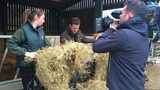 Abbotsholme School farm
