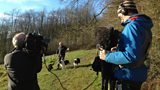 Dog attacks